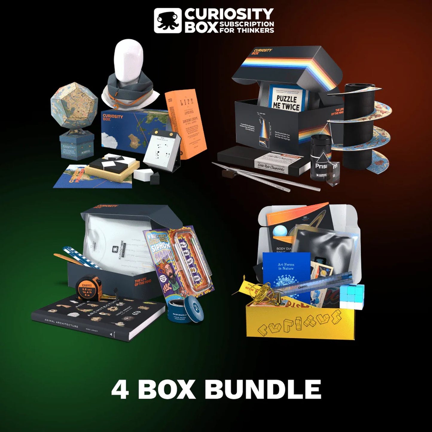 Curiosity Box 4-Box Bundle
