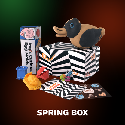 Curiosity Box 4-Box Bundle