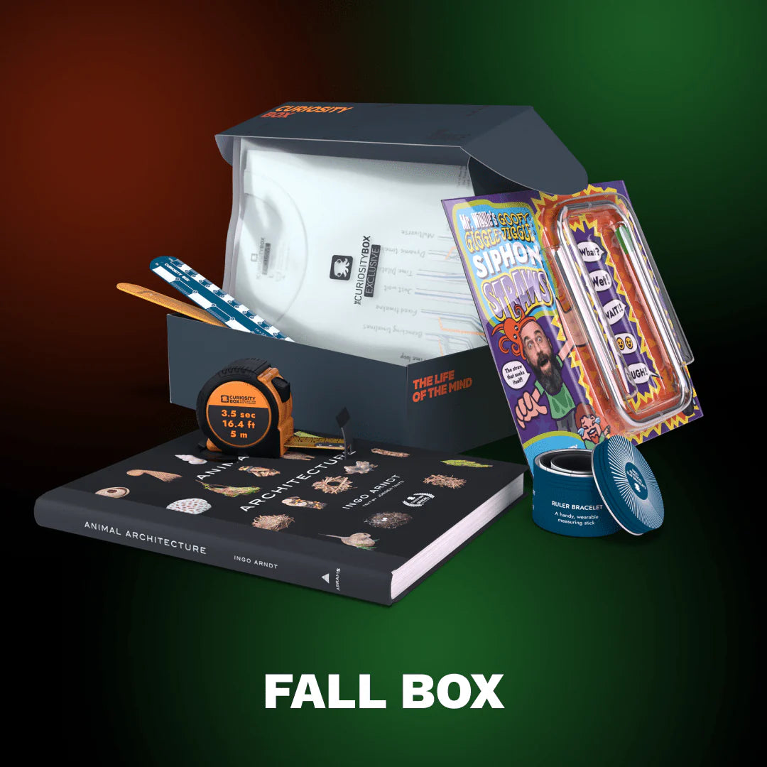 Curiosity Box Ruler Curiosity Box 4-Box Bundle – A Curiosity Box for Homeschoolers